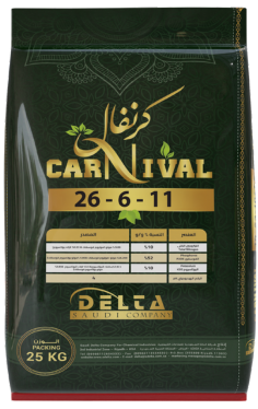 كرنفال