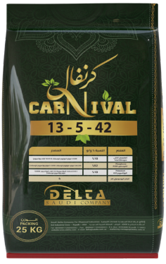 Carnival