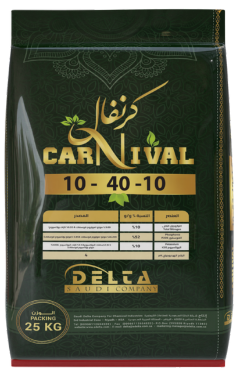 Carnival