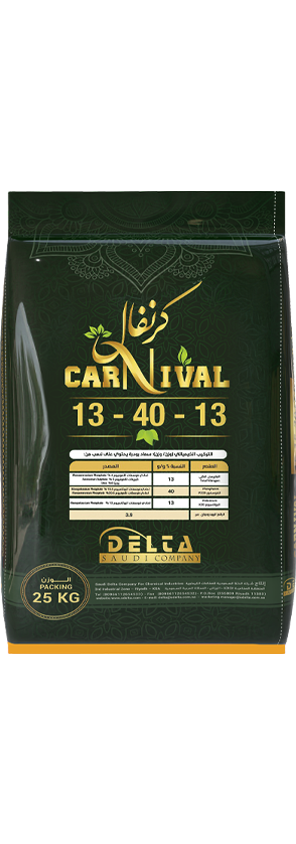 كرنفال