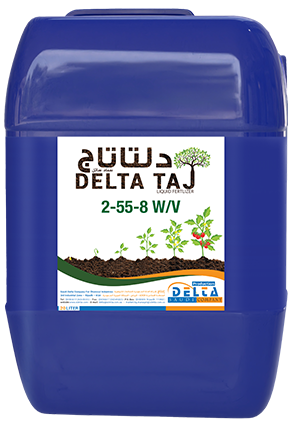 Delta Taj